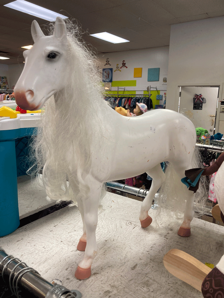 That One White Horse
